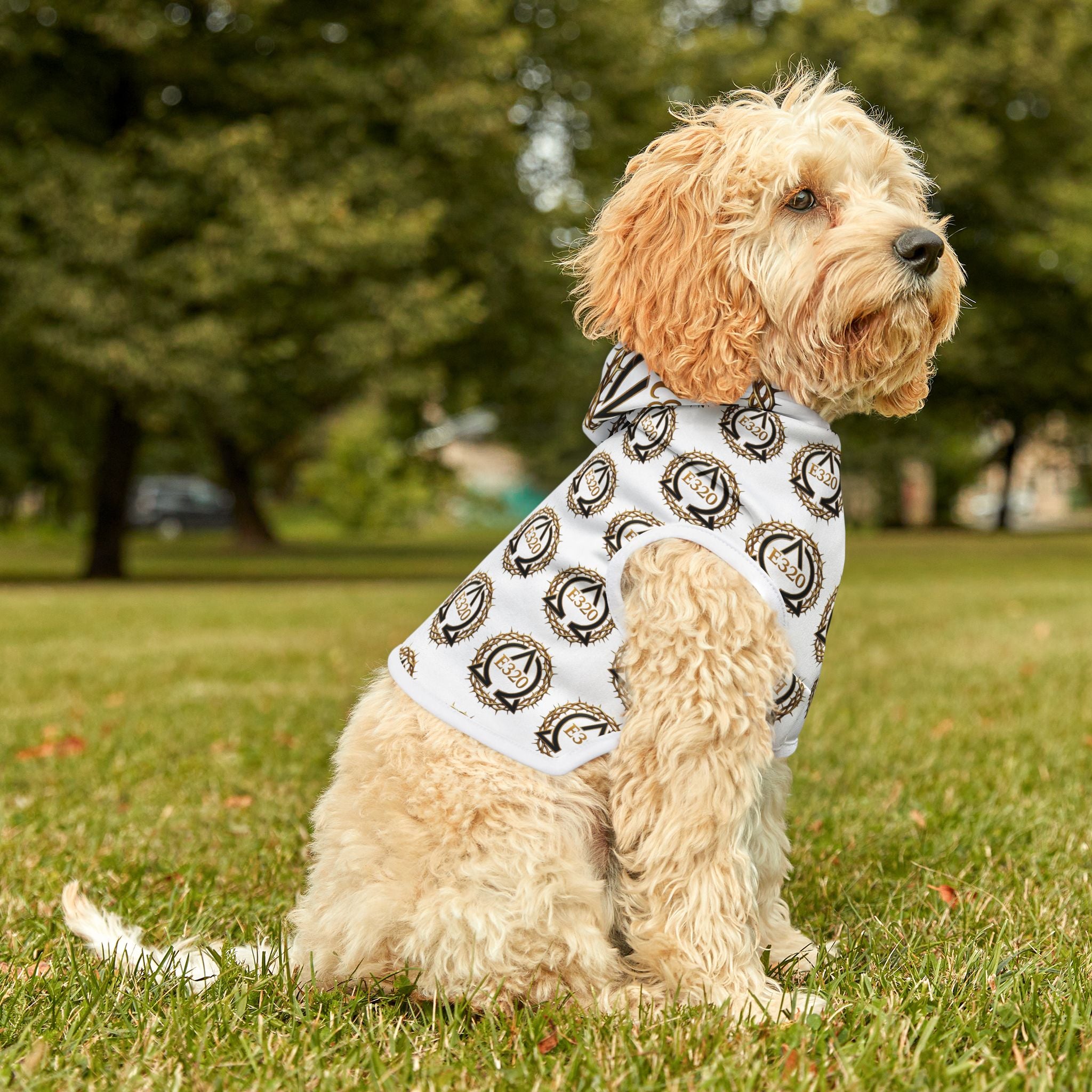 Pet Hoodie — Golden Crown Alpha and Omega Patterned Dog & Cat Hoodie