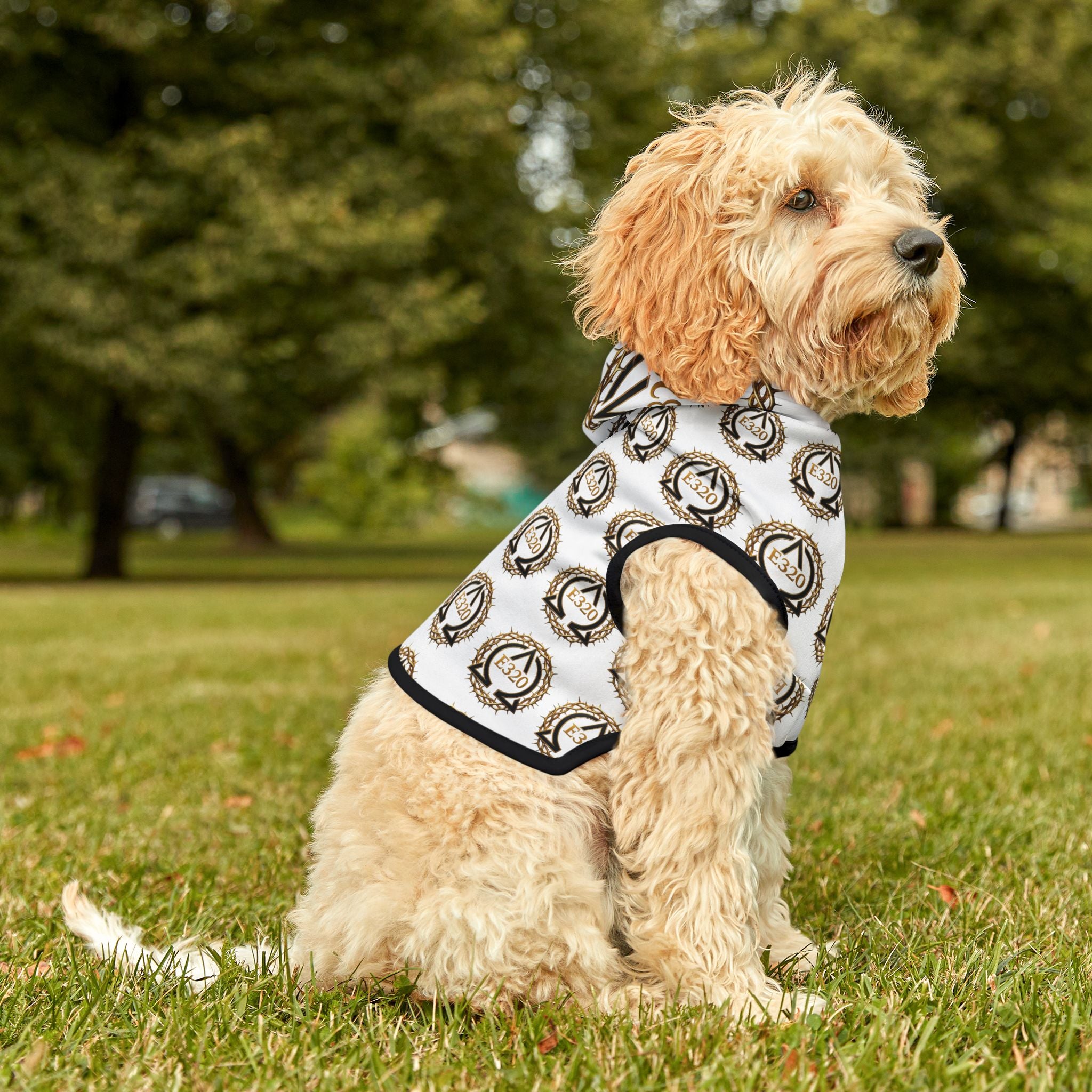 Pet Hoodie — Golden Crown Alpha and Omega Patterned Dog & Cat Hoodie